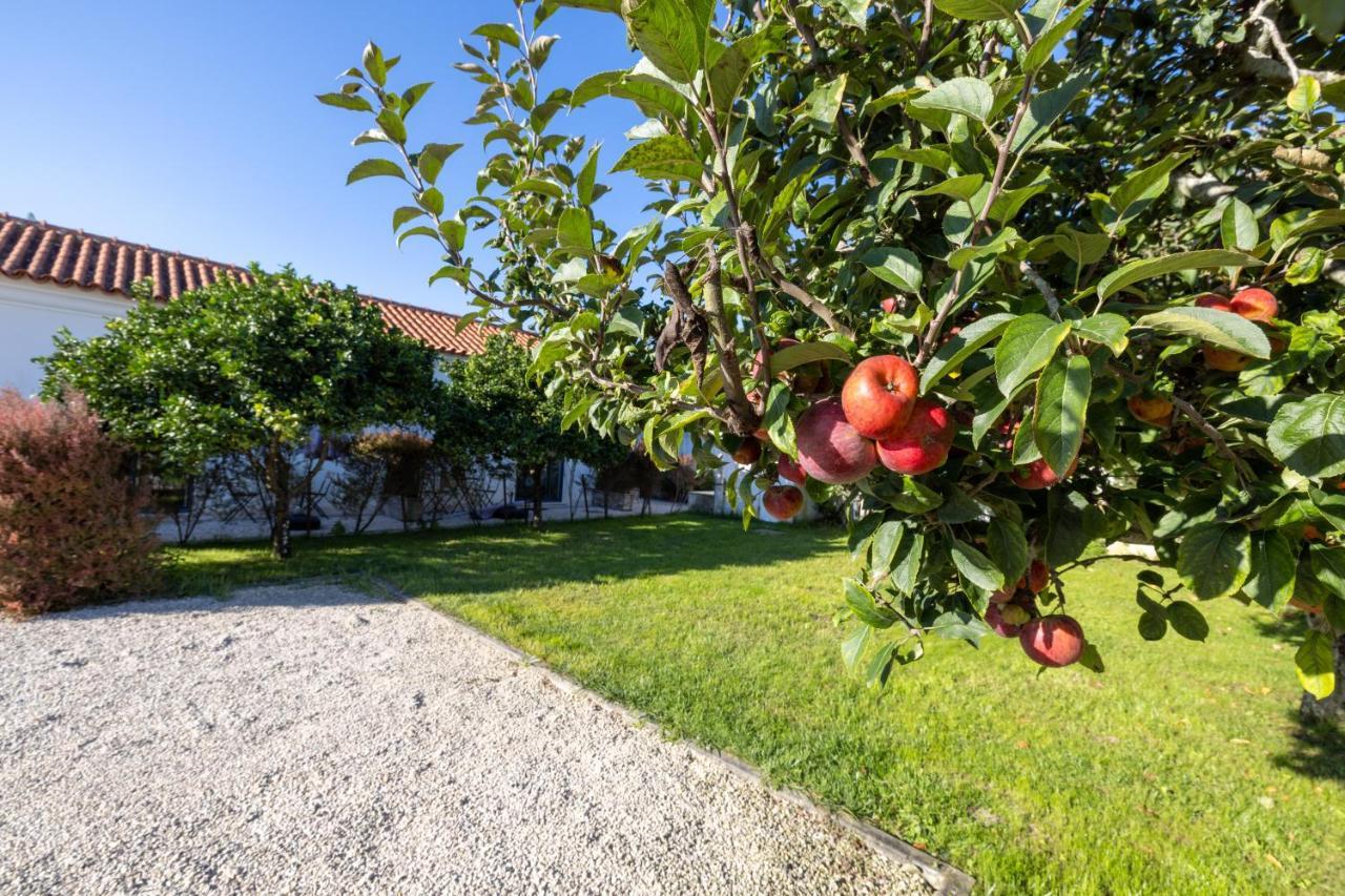 Casa Da Lagoa E Forja - Turismo Rural Mira  Exteriör bild